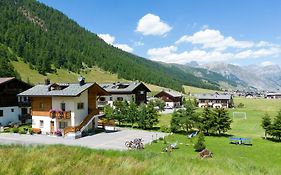 Chalet Sunshine