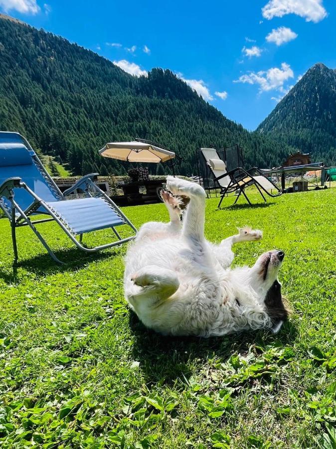 Chalet Sunshine Livigno Esterno foto