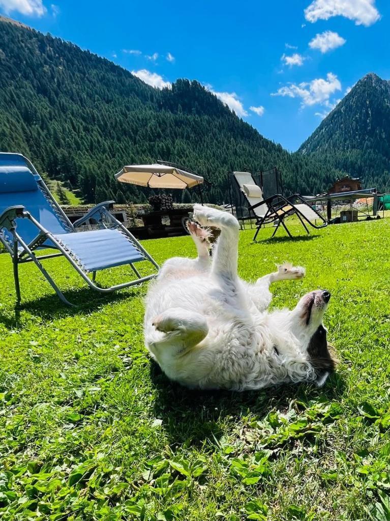 Chalet Sunshine Livigno Esterno foto